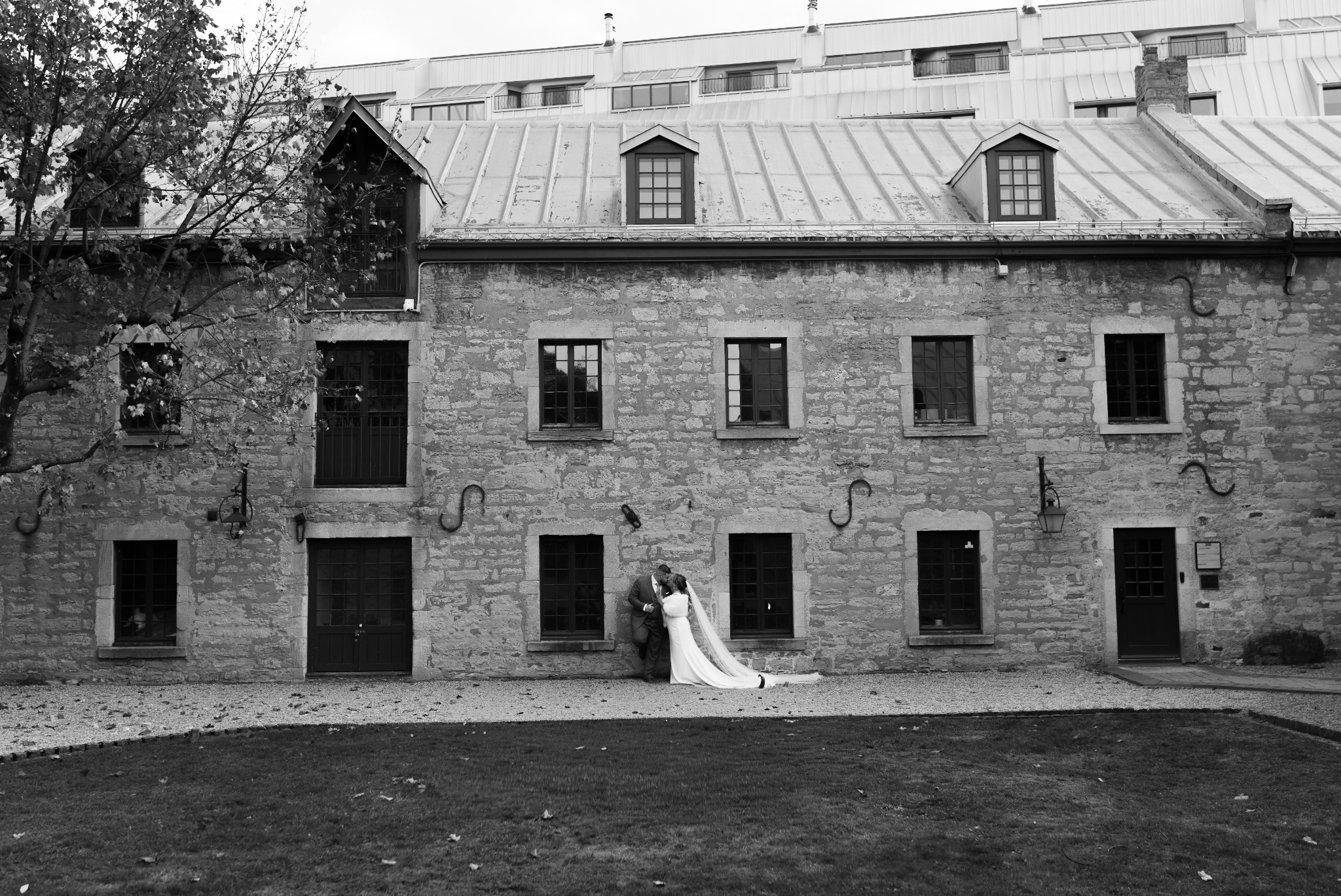 Wedding portrait